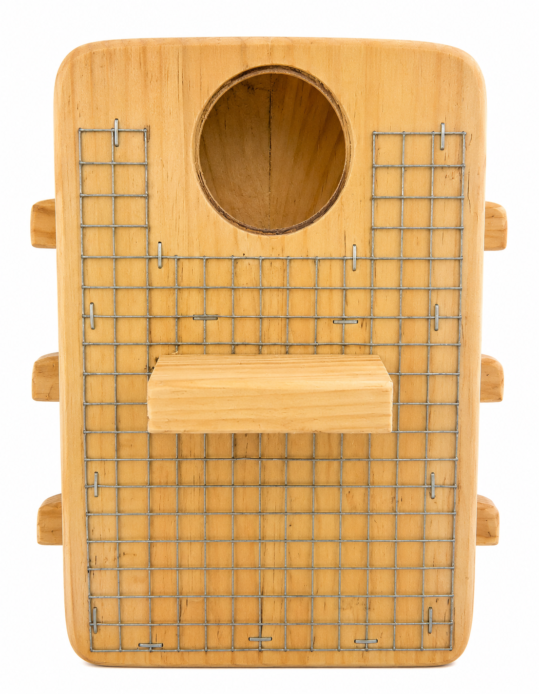 Screech Owl Home - Image 7