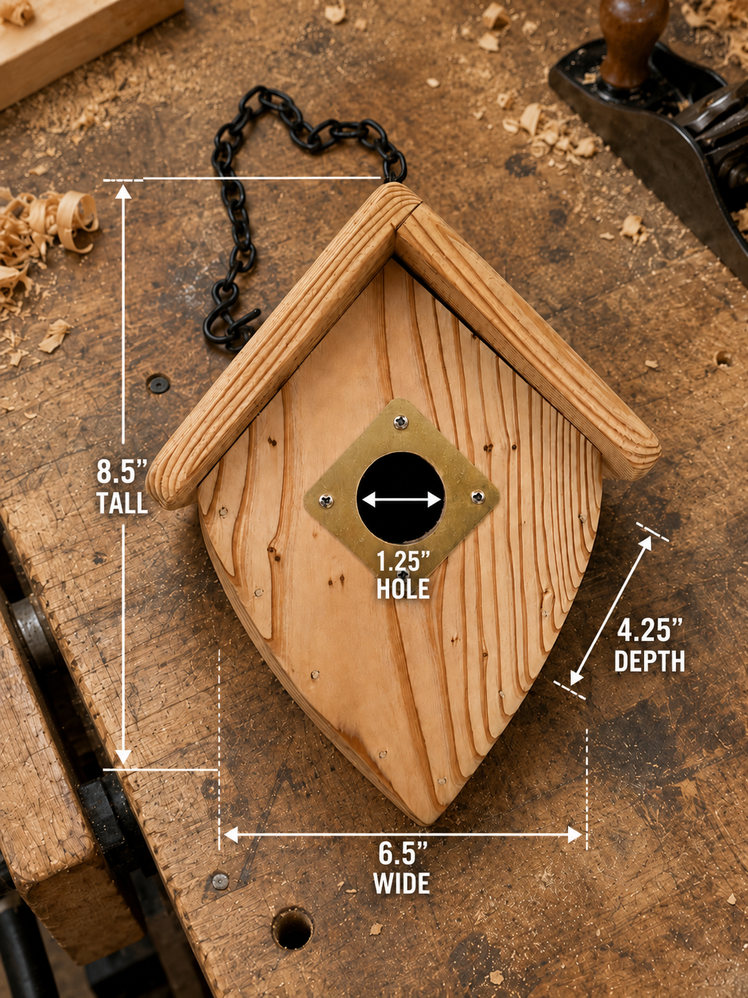 Acorn Bird Home - Image 3